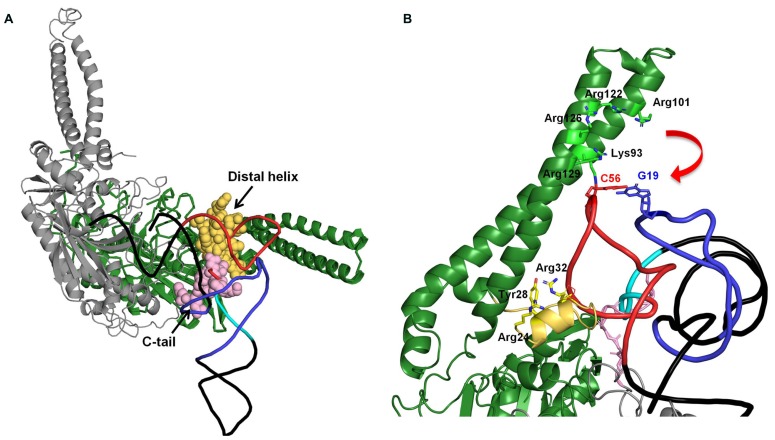 FIGURE 2