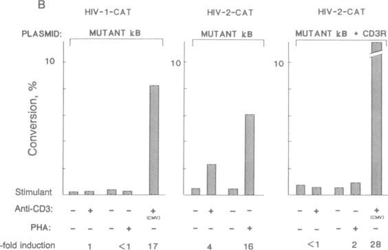 graphic file with name pnas01048-0037-b.jpg