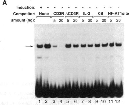 graphic file with name pnas01048-0038-c.jpg