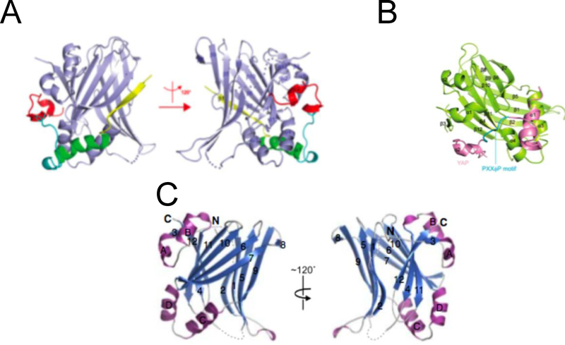 Figure 3.