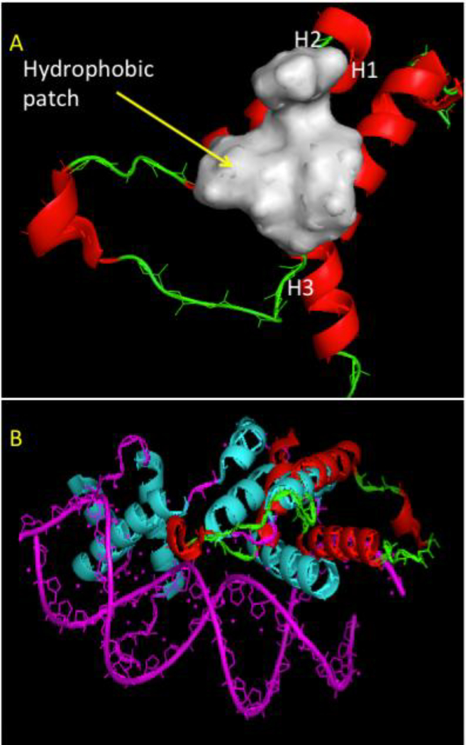 Figure 2.