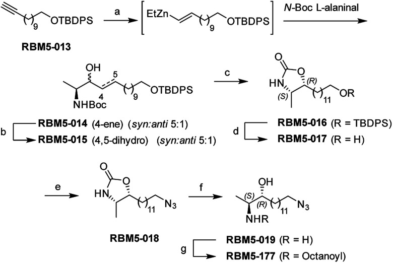 Scheme 1