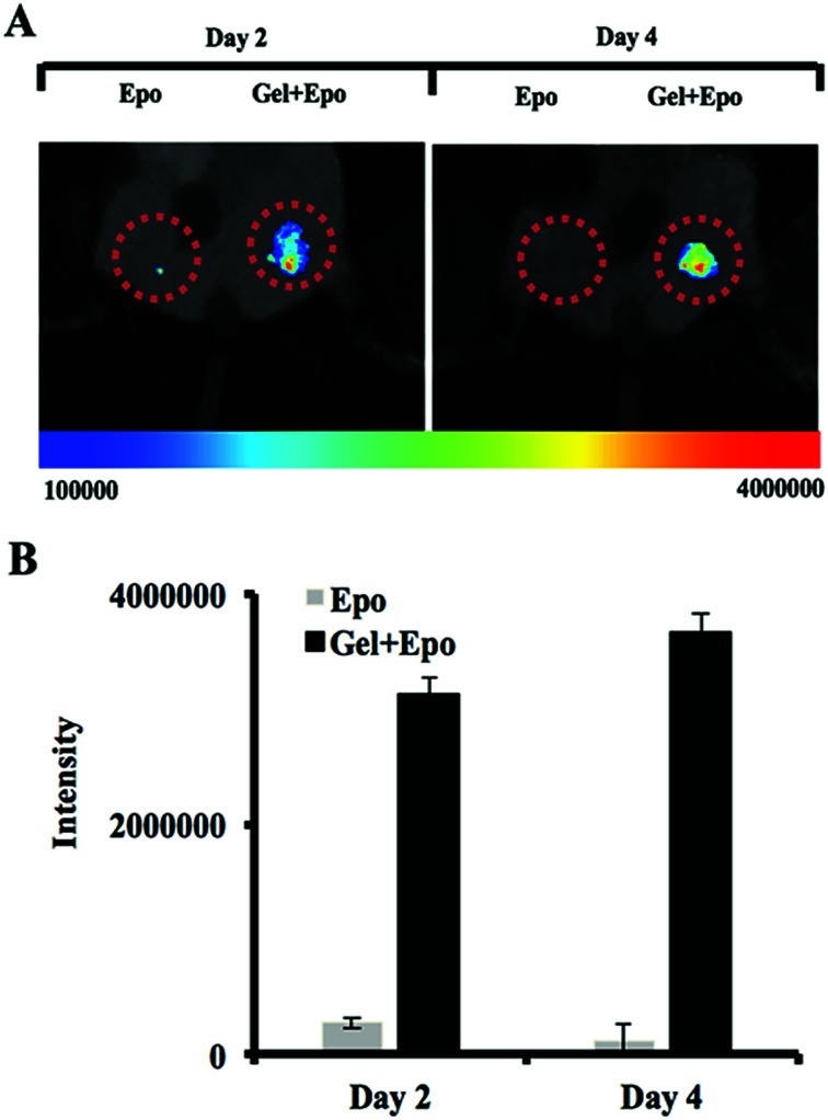 Fig. 6