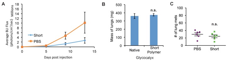 Figure 1—figure supplement 3.