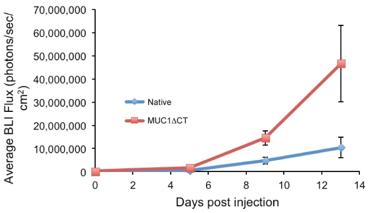 Figure 4—figure supplement 1.