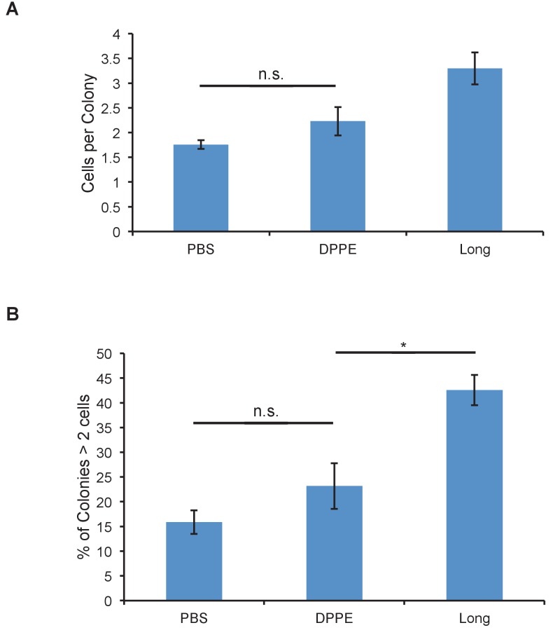 Figure 2—figure supplement 1.