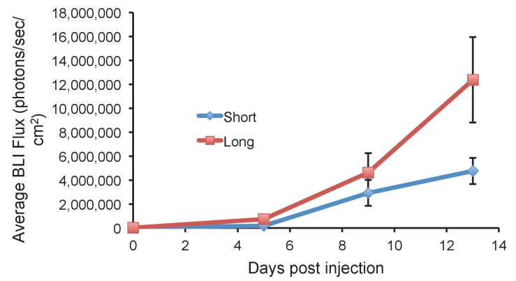 Figure 1—figure supplement 2.