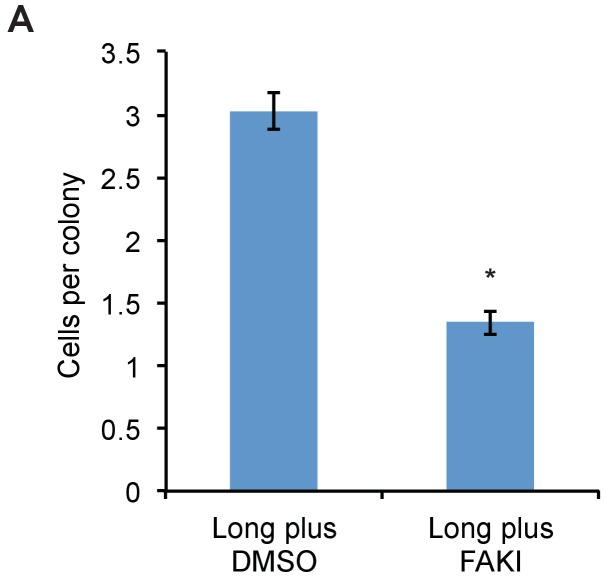 Figure 3—figure supplement 1.