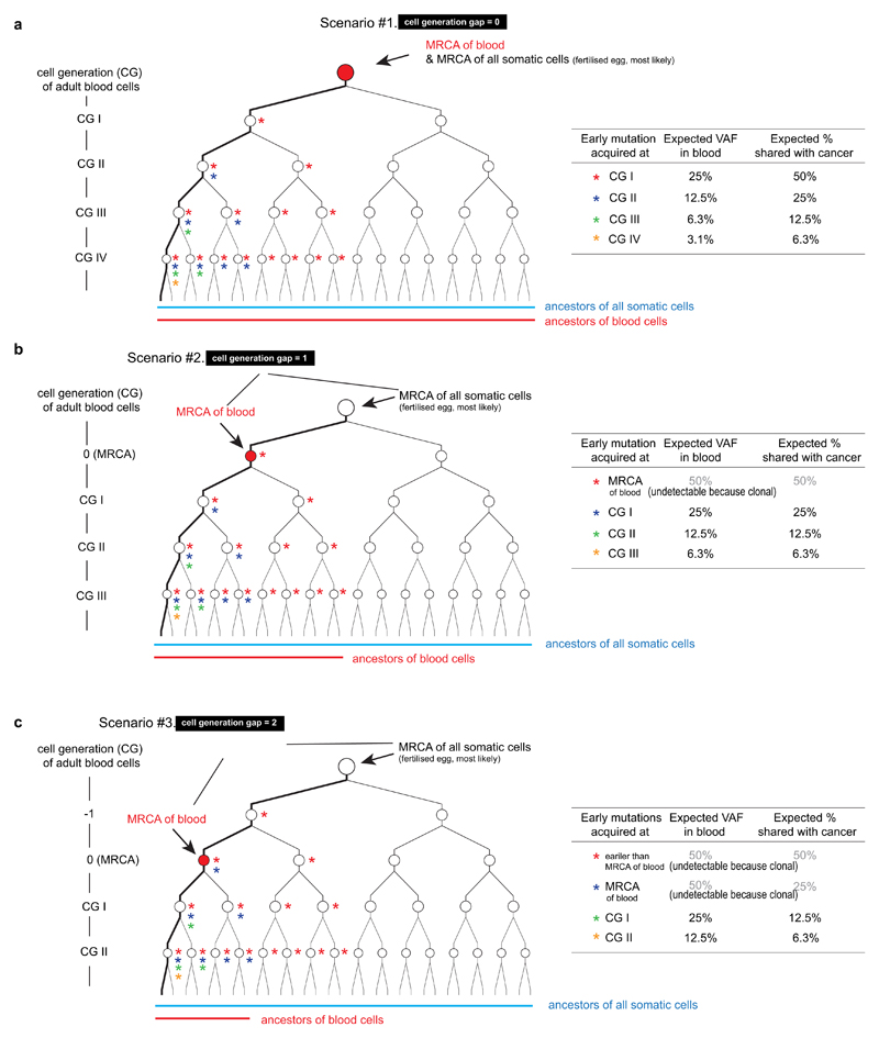 Extended Data Figure 6