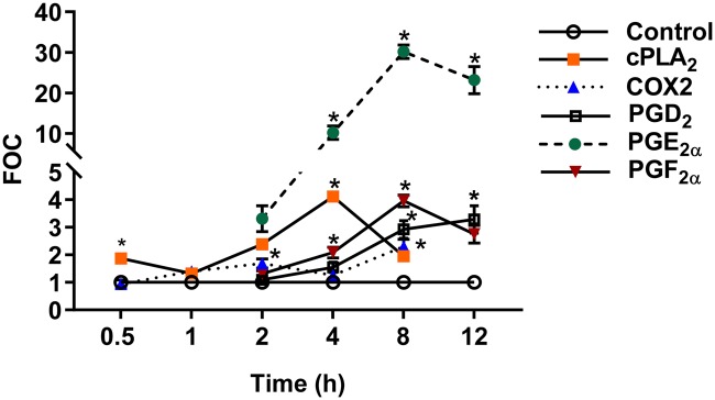 Figure 5.