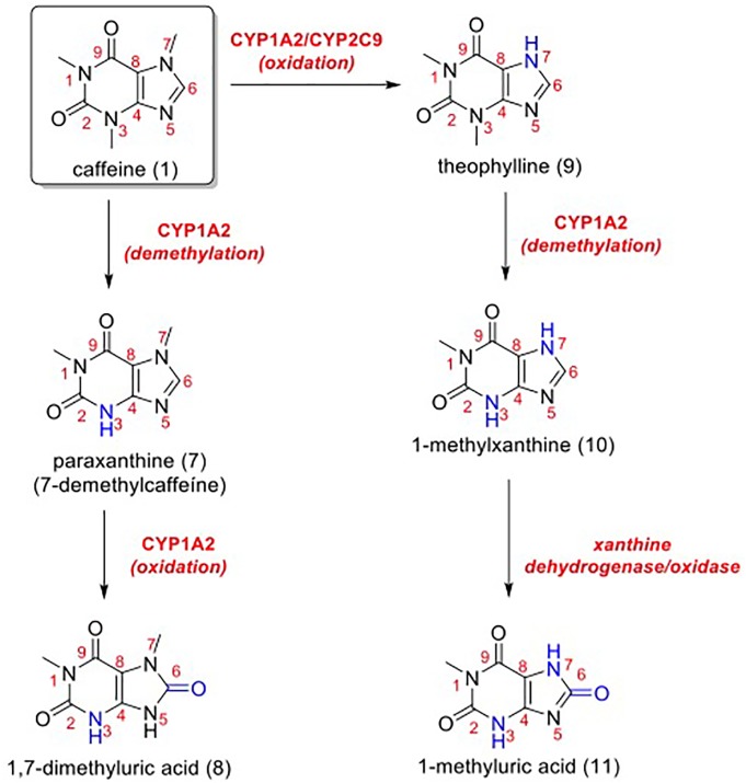 FIGURE 6