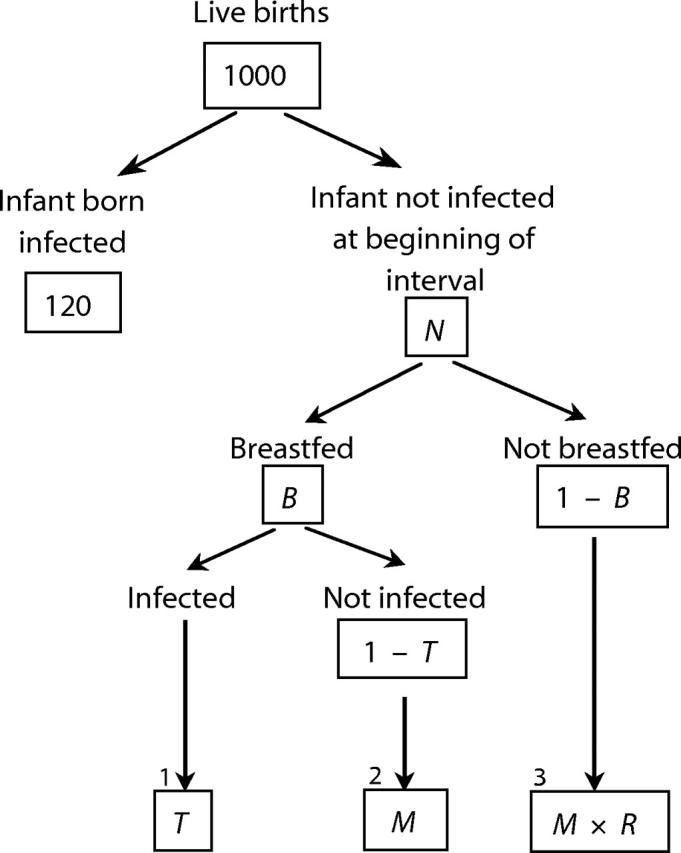 FIGURE 1—