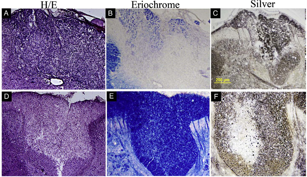 Fig. 8