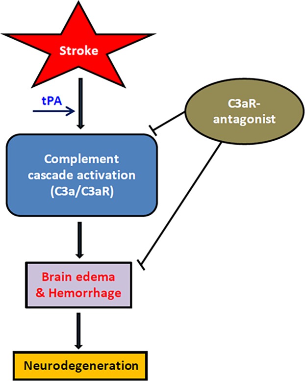 Fig 7