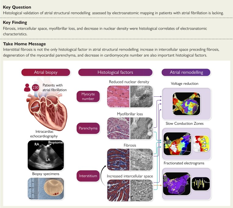 Structural Graphical Abstract