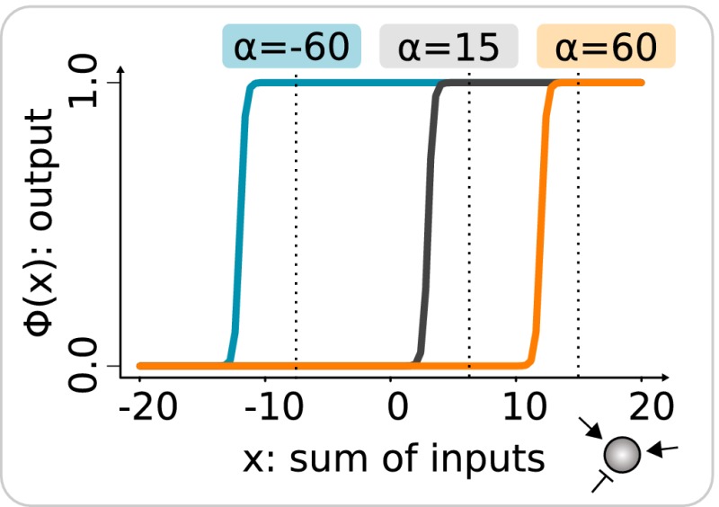 Box 1: The gene regulatory model