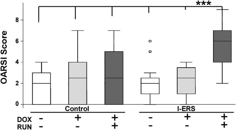 Figure 5