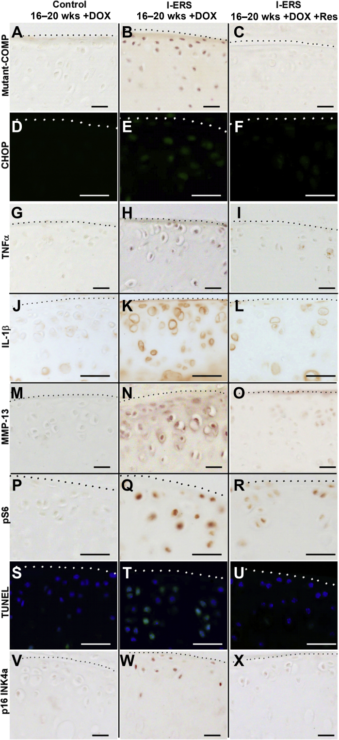 Figure 7