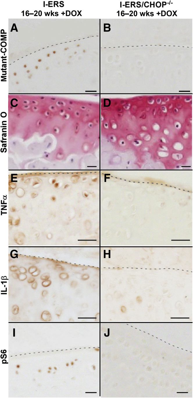 Figure 6