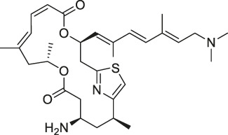 graphic file with name fchem-09-761609-fx7.jpg