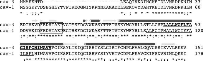 FIGURE 1.