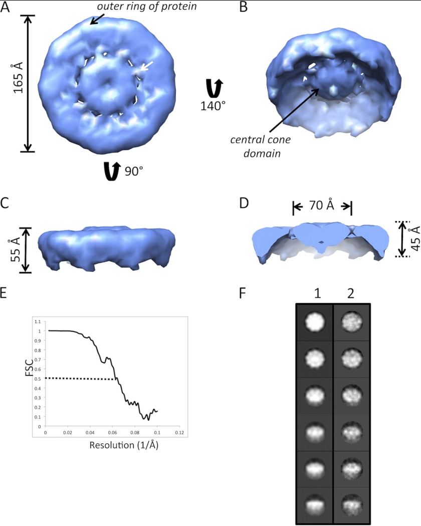 FIGURE 4.