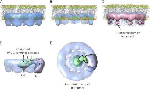 FIGURE 7.