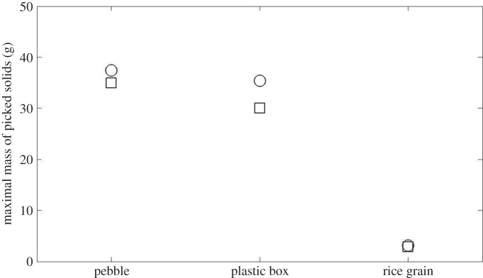 Figure 7.