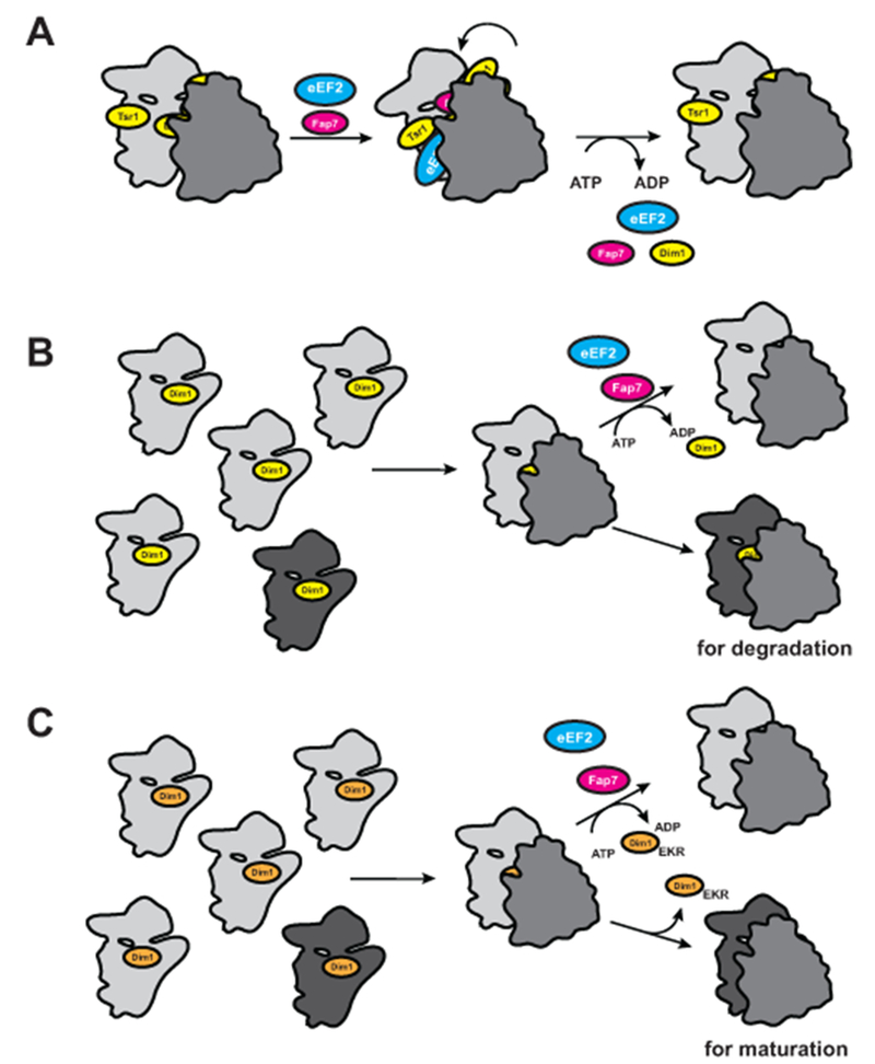 Figure 7.