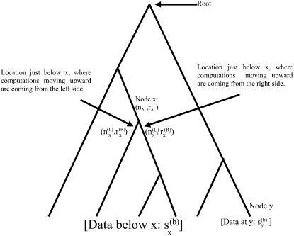 Figure 1.—