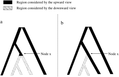 Figure 3.—