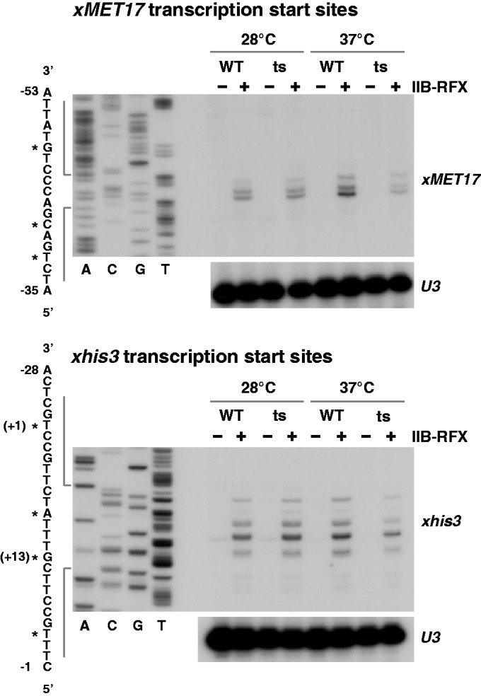 Figure 6.