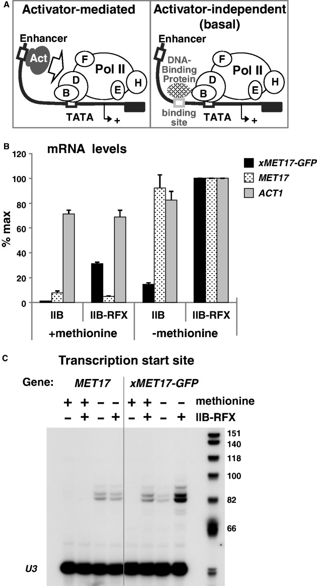 Figure 1.