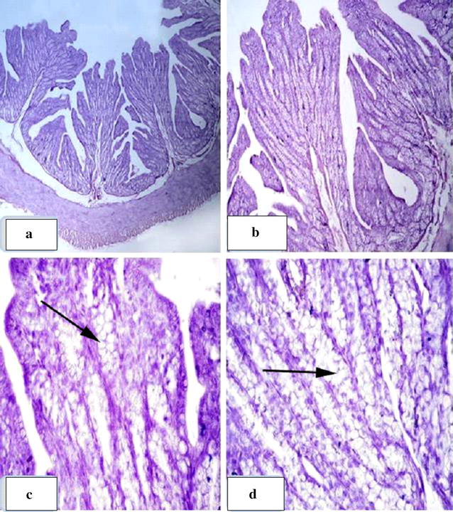 Fig. 3