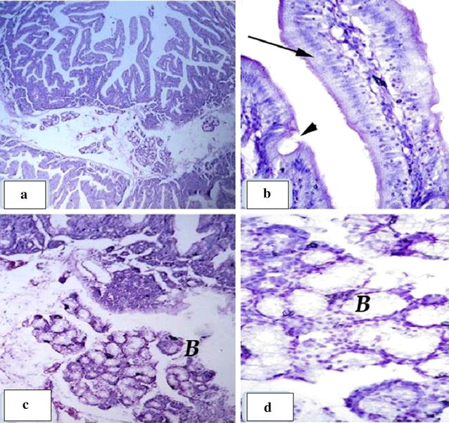 Fig. 2