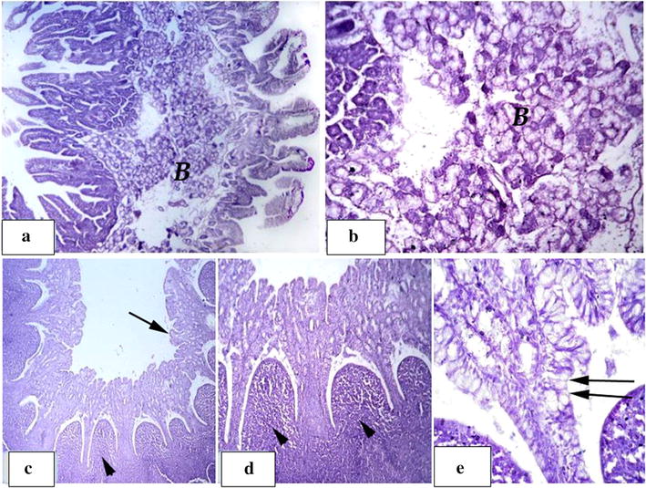 Fig. 4