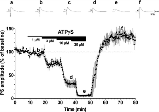 Fig. 2