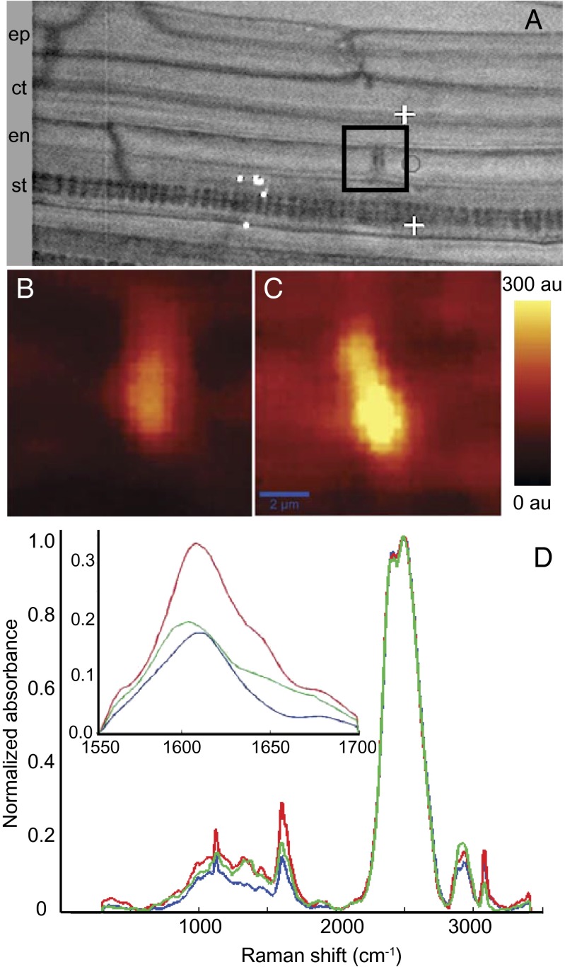 Fig. 4.