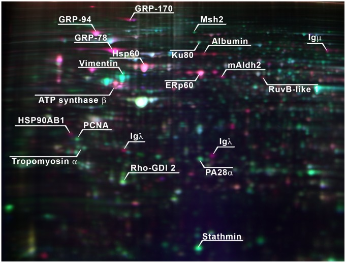 Figure 5