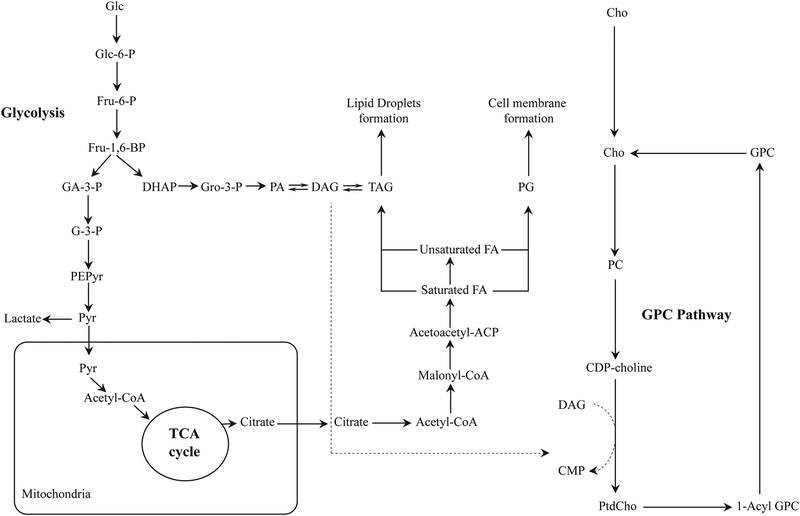 Figure 9: