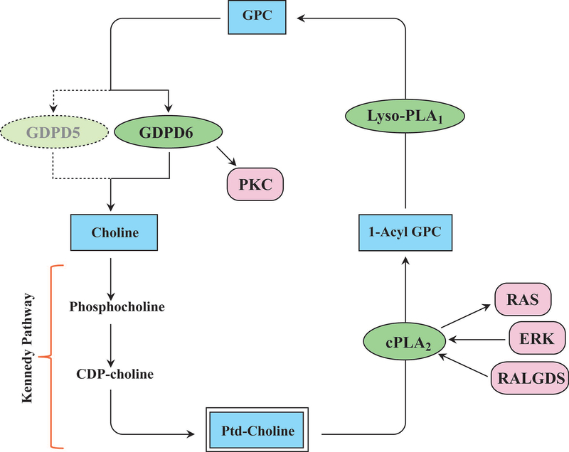 Figure 2: