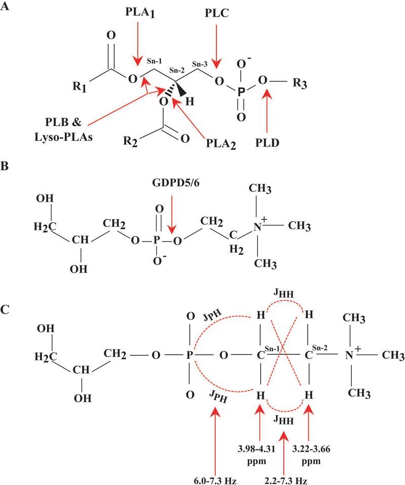 Figure 3: