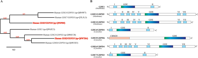 Figure 4: