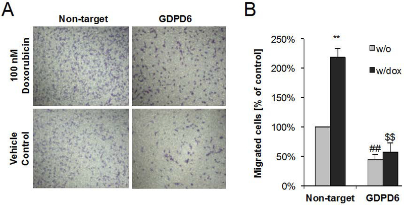 Figure 7: