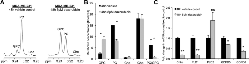 Figure 6: