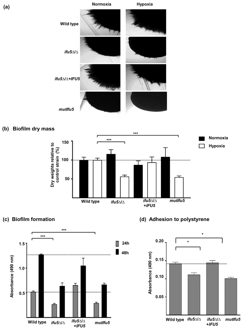 Figure 5