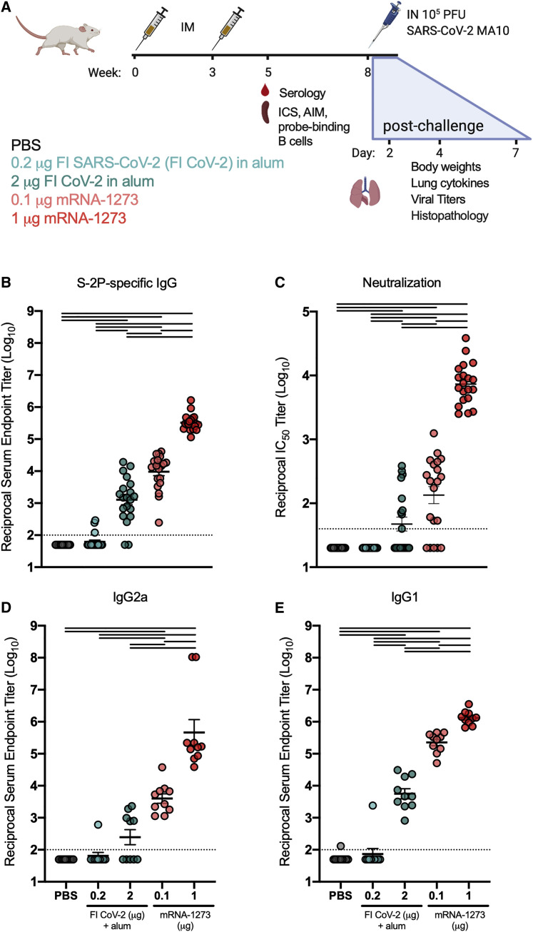 Figure 6