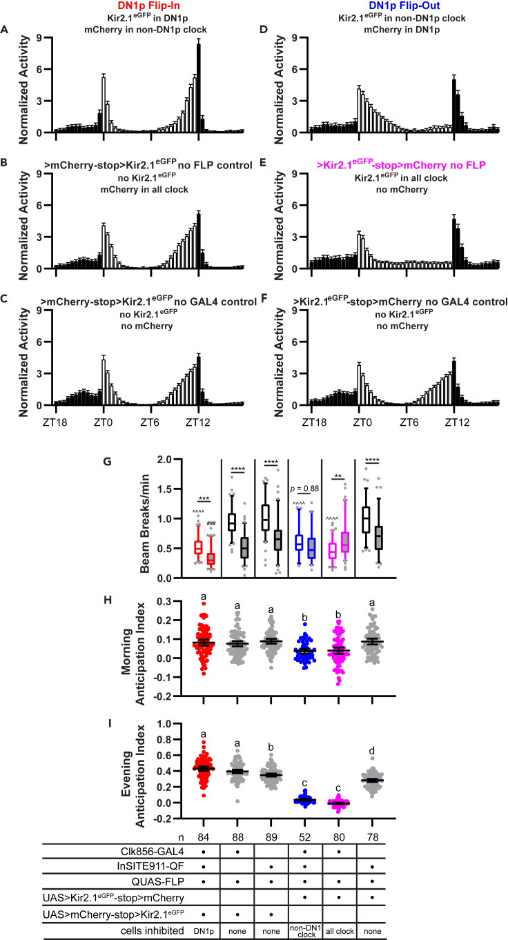 Figure 5