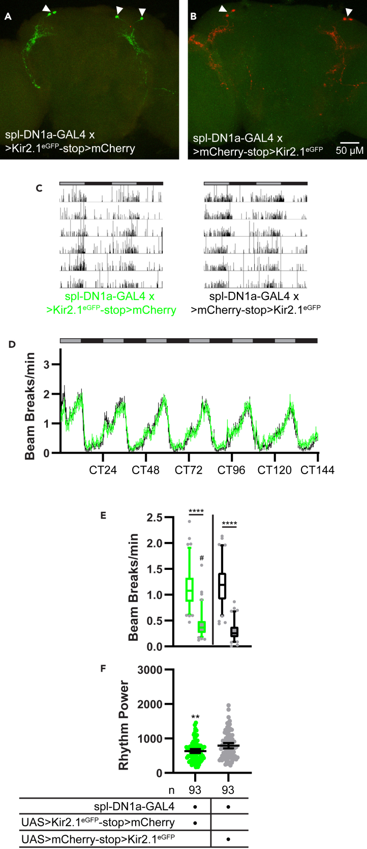 Figure 7