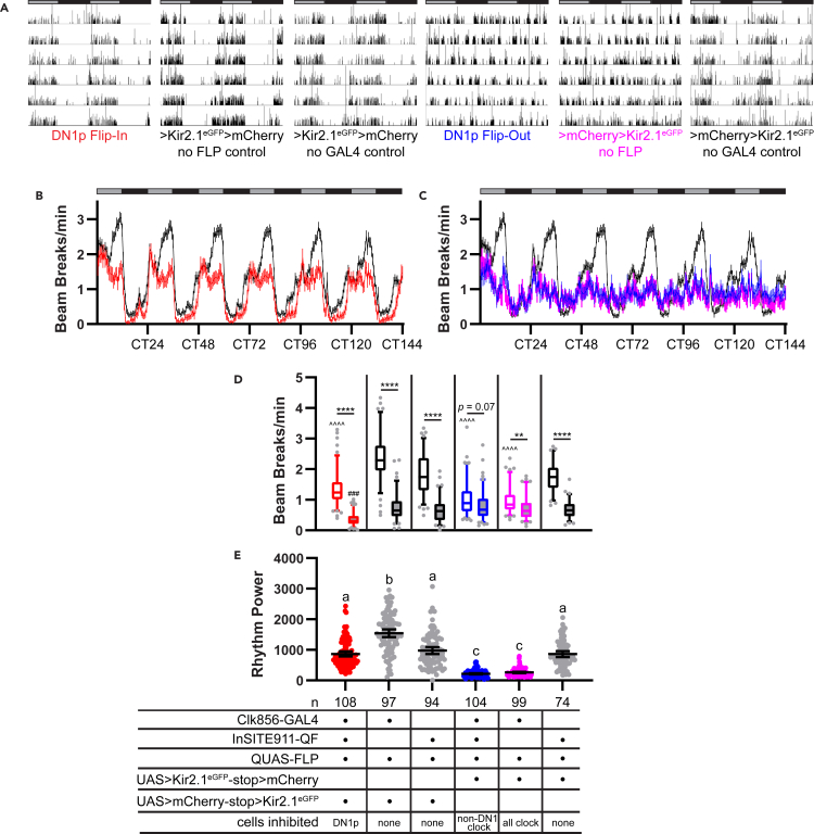 Figure 3